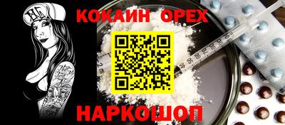 крисы Будённовск