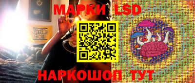 крисы Будённовск