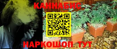 крисы Будённовск