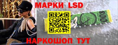 крисы Будённовск