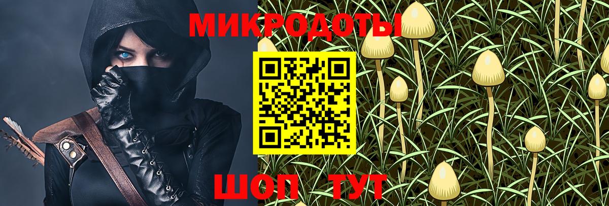 Вологда  Галлюциногенные грибы MAGIC MUSHROOMS  Вход с VPN 