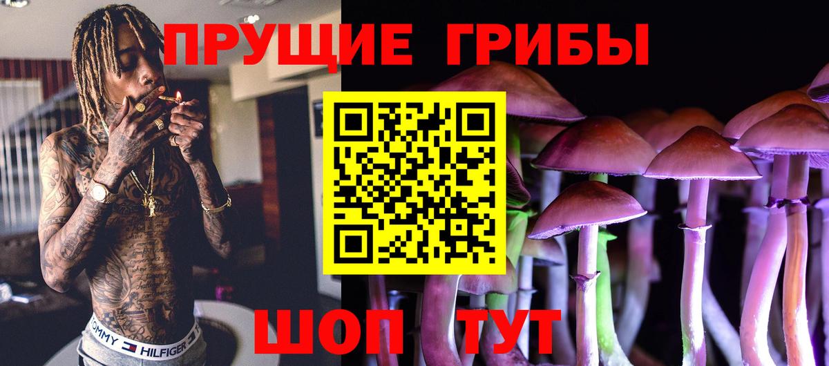 Галлюциногенные грибы GOLDEN TEACHER Вологда